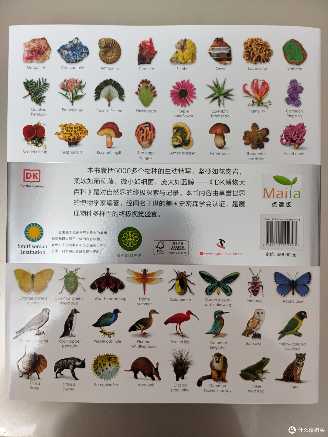 DK博物大百科点读版小晒