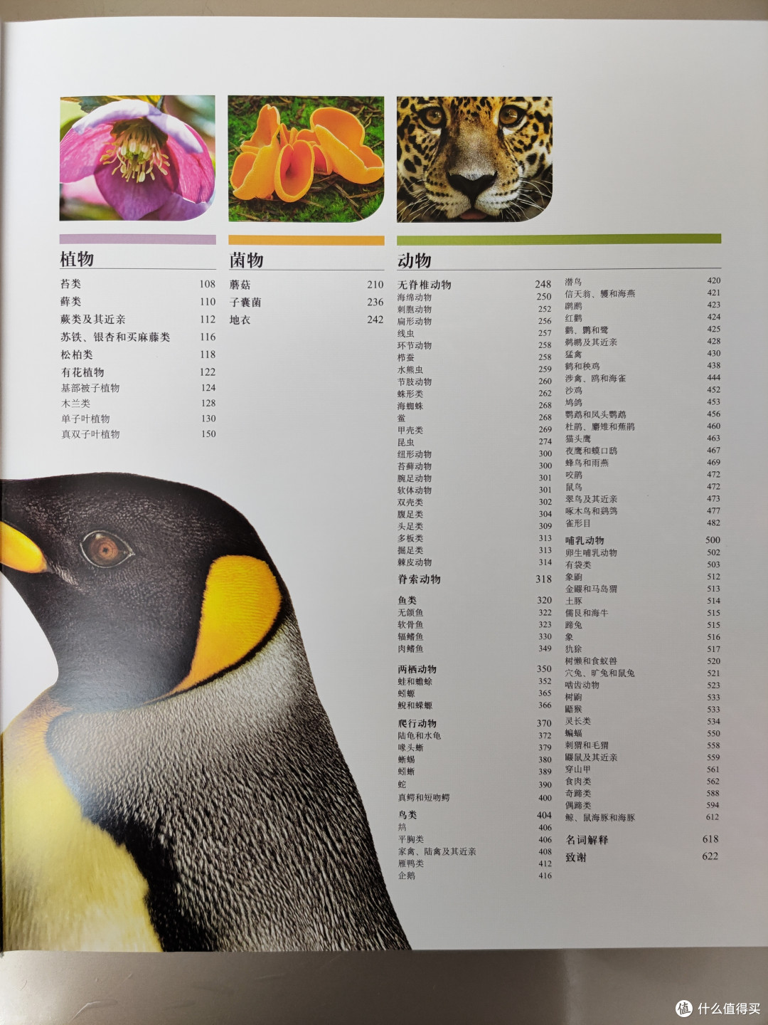 DK博物大百科点读版小晒