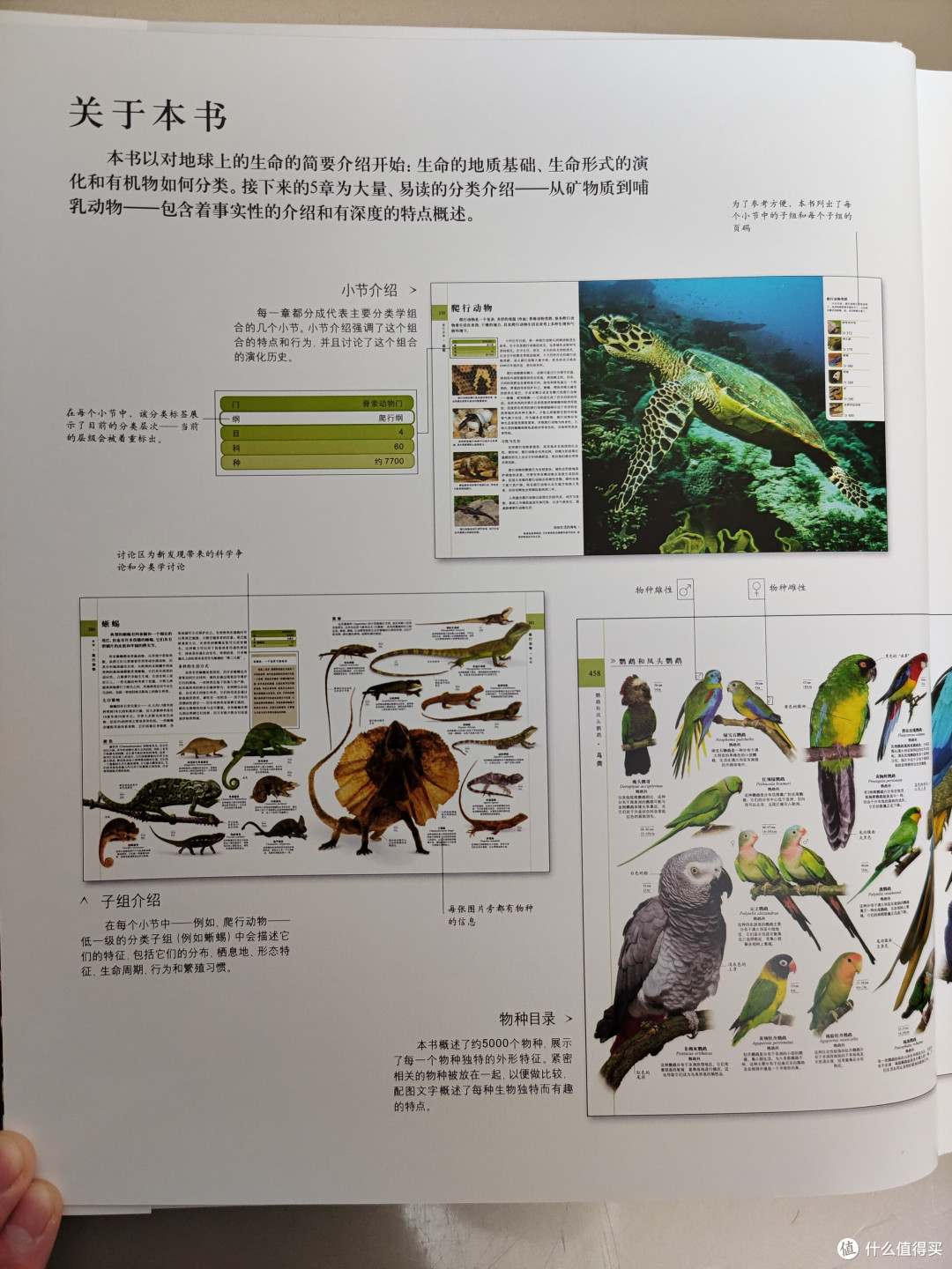 DK博物大百科点读版小晒