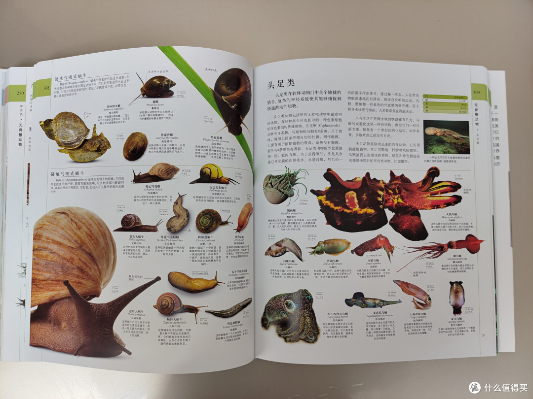 DK博物大百科点读版小晒