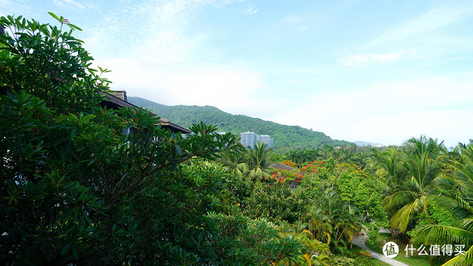 去万宁，住艾美，房型怎么选？海南石梅湾艾美度假酒店~别墅之下全房型解析