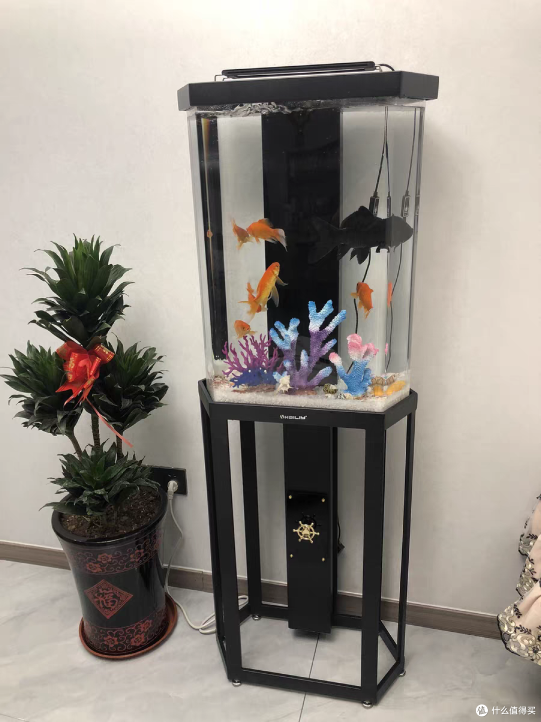 纵使生活一地鸡毛,我们也要学会解压放松_鱼缸_什么值得买