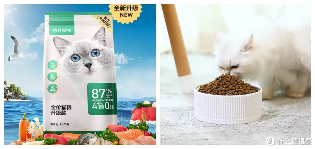 双11天猫大额券第2波！给宠物主子们过冬备货吧