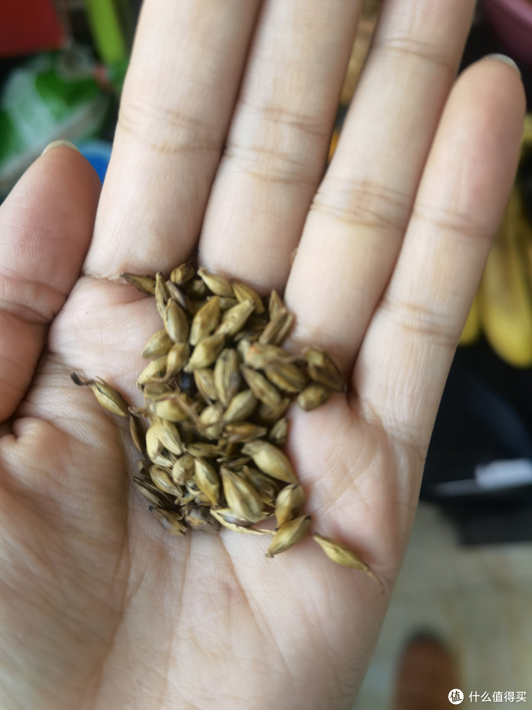 怕孩子积食，这一款美味的小饮料你一学就会