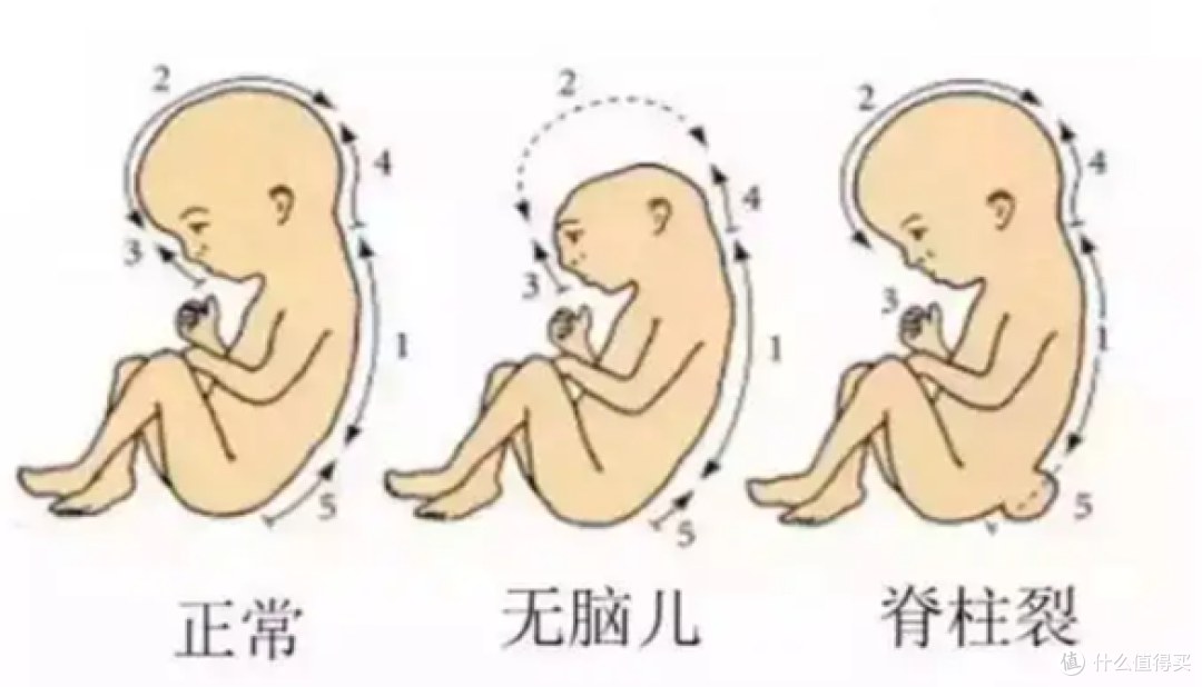 备孕干货丨别再说叶酸只吃3个月 关于备孕怀孕时叶酸的一些干货知识!
