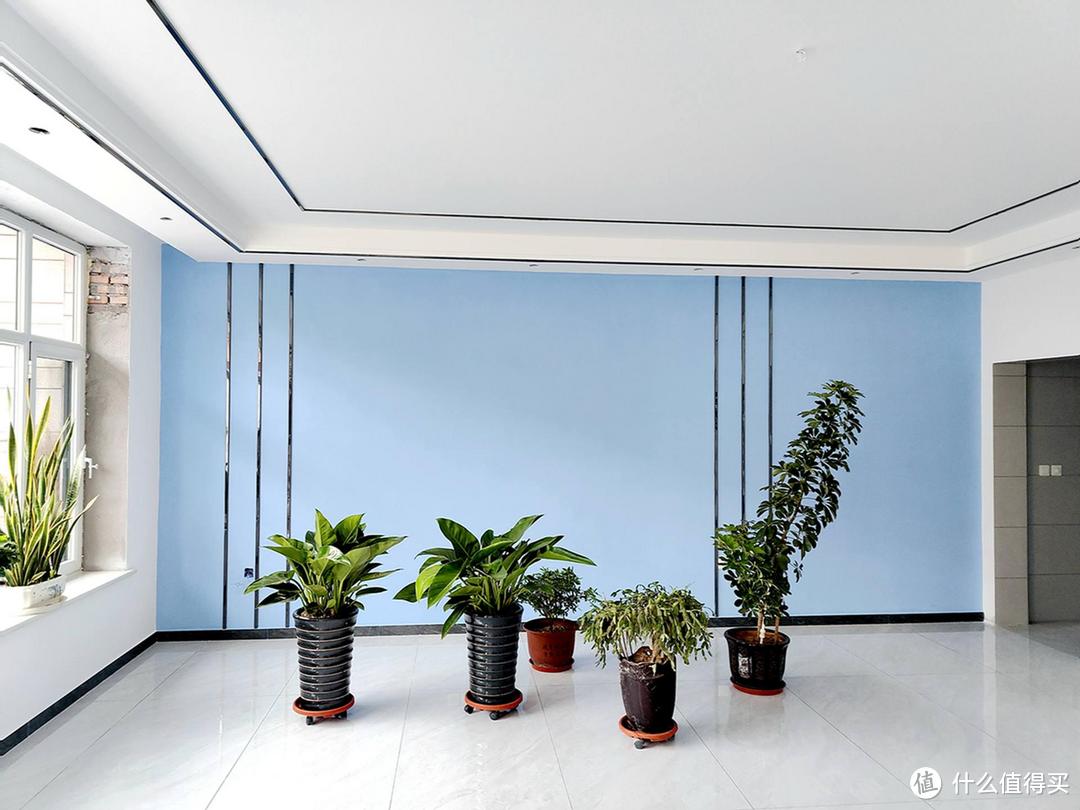 1盒相当于89盆绿萝?新房入住前有哪些除甲醛好物值得推荐?