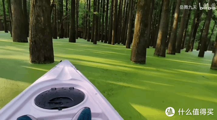这片绿野仙踪，是坐船才能看到的「人间秘境」
