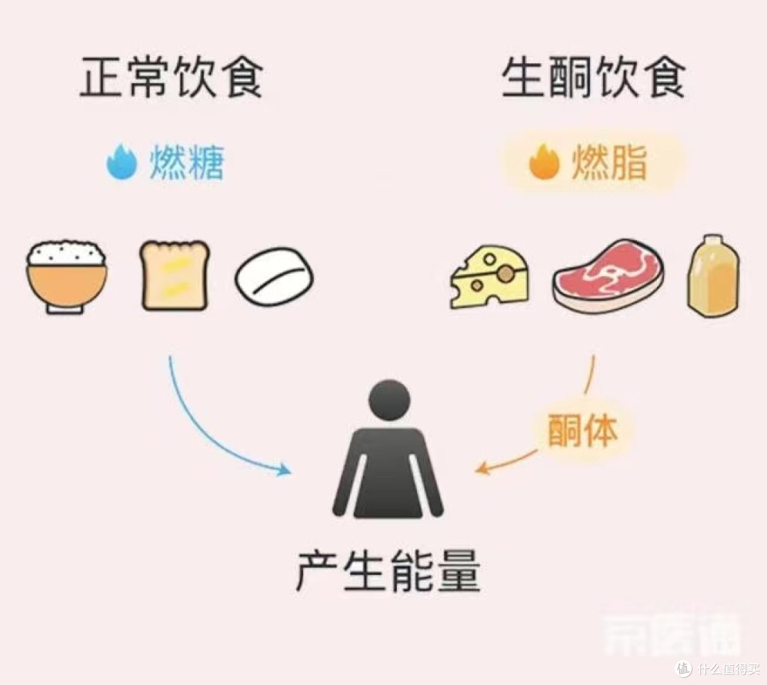 到底什么是生酮减肥法?感觉最近好火