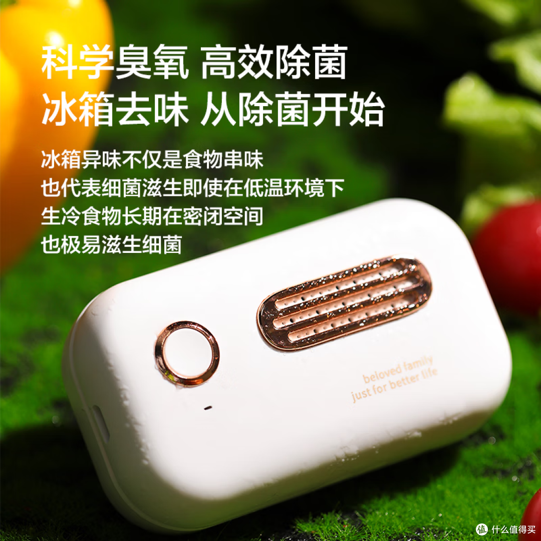 双十一囤了一堆吃的,冰箱味道太大怎么办?摩飞冰箱除味器帮你解决