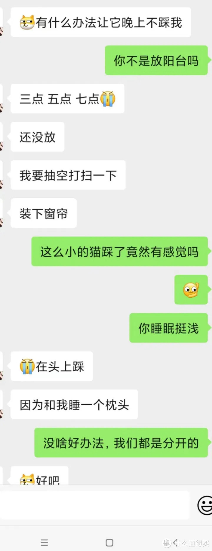 第一次养猫需要准备什么？以及注意事项