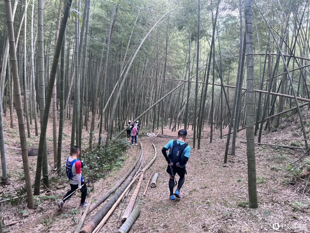 越“野”，越青春，向着风景，向着远方