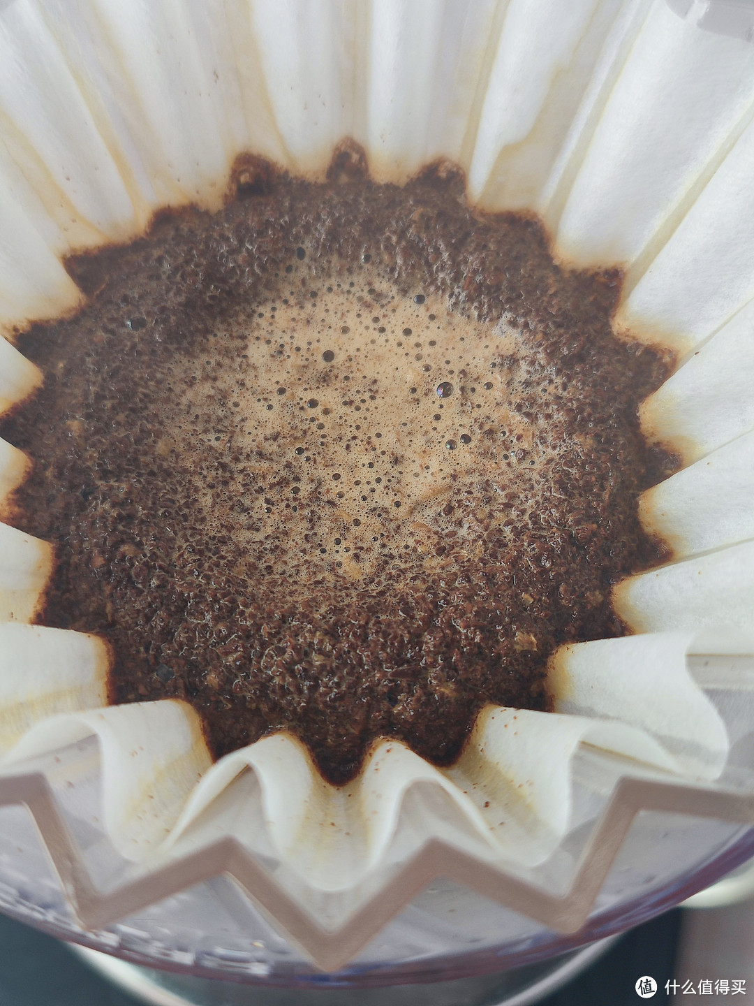 世界咖啡地图之肯尼亚，一个不输埃塞的咖啡产地。分享双十一购入的两款肯尼亚咖啡：澳帝焙和豆叔。