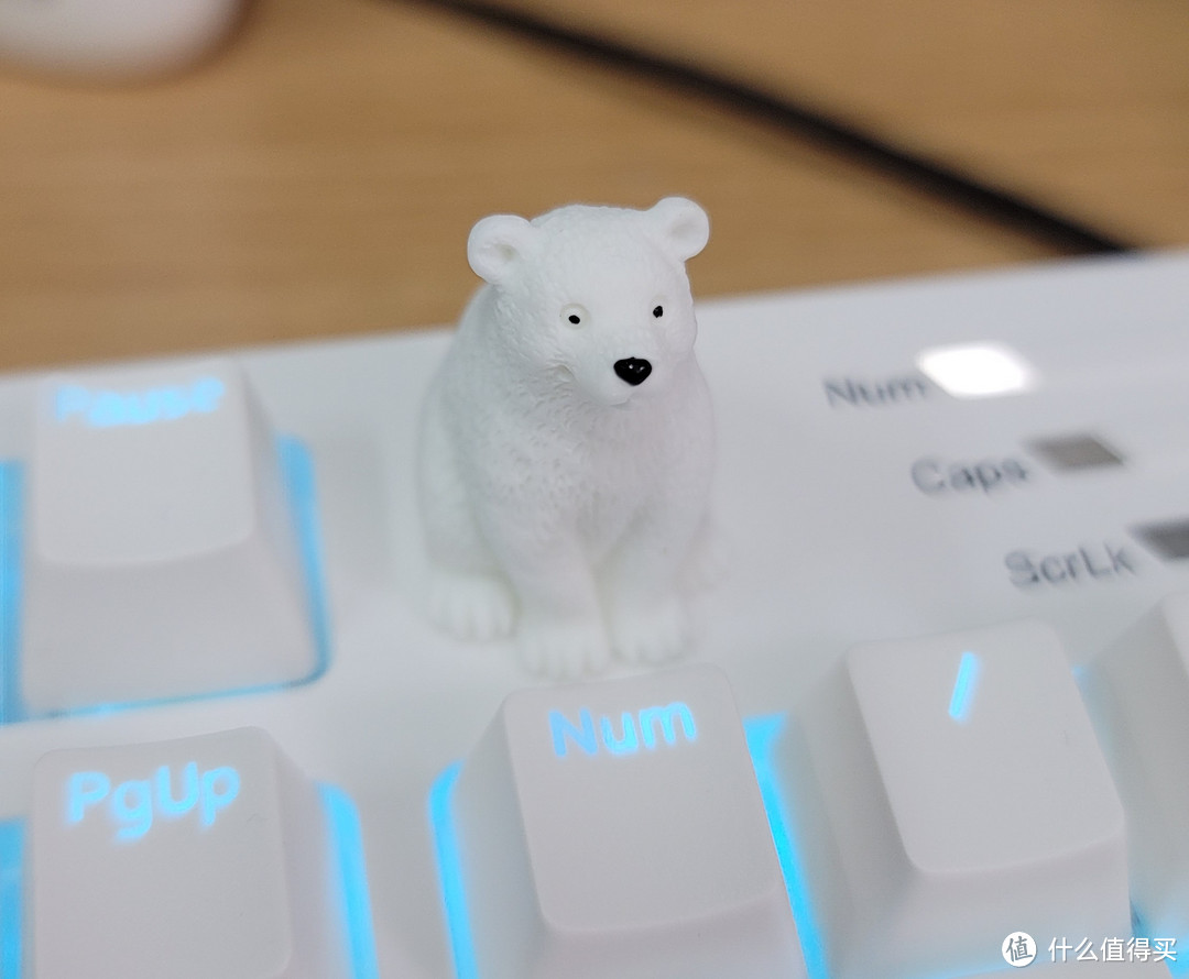 坐姿北极熊，和键盘颜色一致