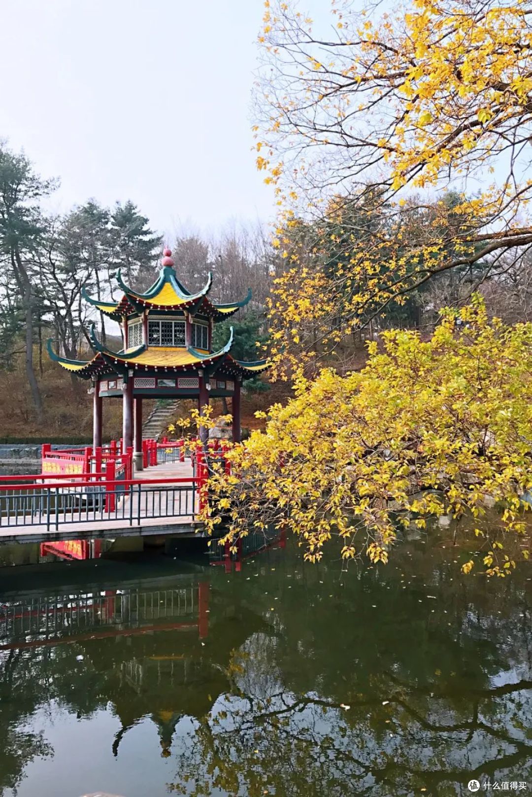 秋有银杏，冬有温泉，这座沿海的边陲城市真是深藏不露！