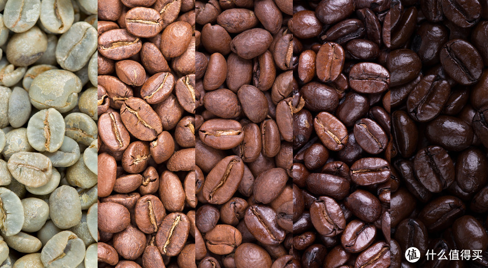 咖啡豆这些参数都代表什么意思？新手选购咖啡豆注意要点！