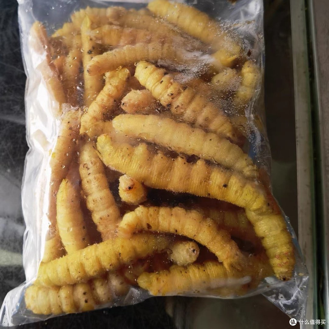 这个上榜中华黑暗料理的苏北美食“豆丹”你敢吃吗?