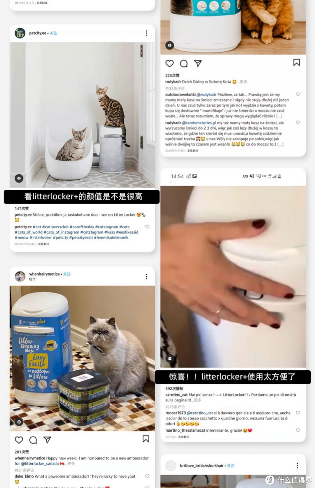 拒绝居家养猫异味!异味拜拜!!