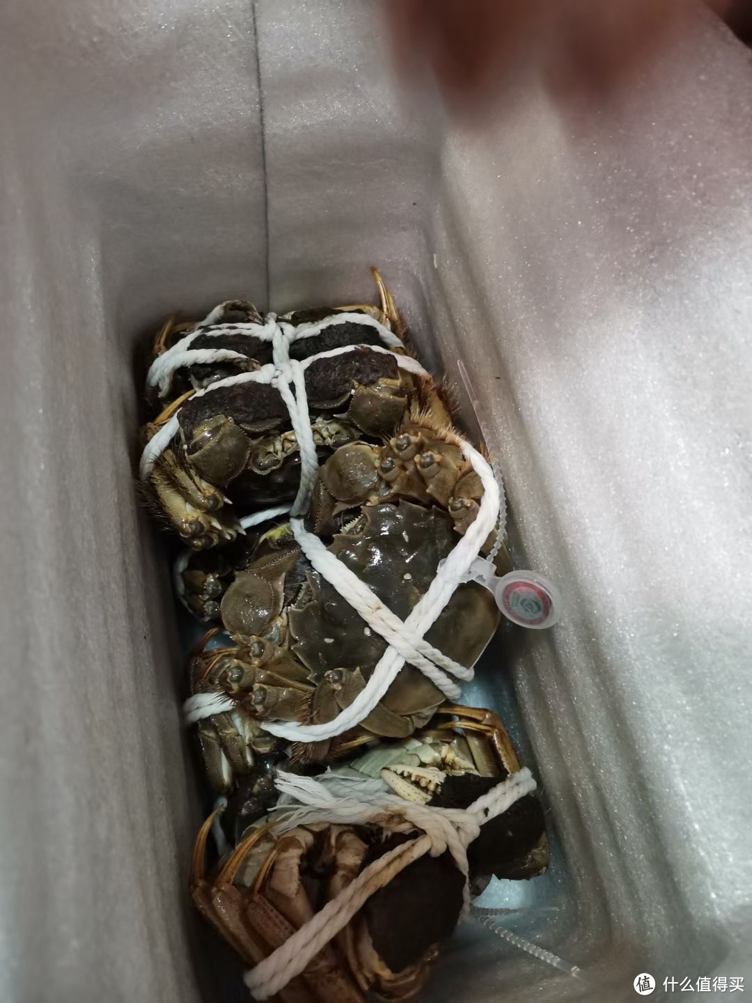 是阳澄湖大闸蟹又好像不是阳澄湖大闸蟹,不过味道还不错!