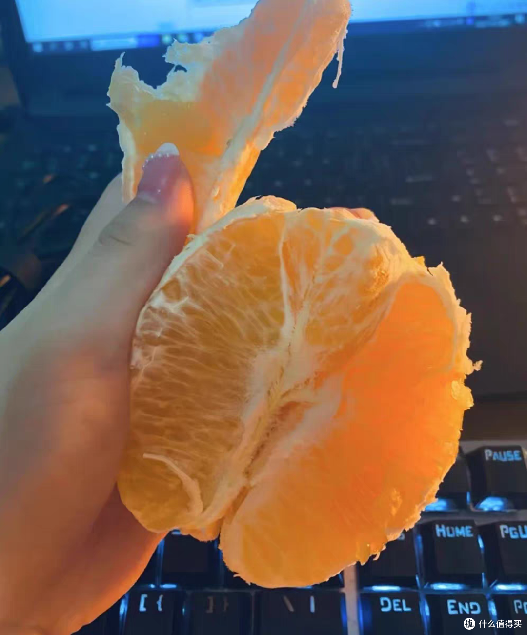 冬天吃脐橙的季节啦，哪里脐橙最好吃啊
