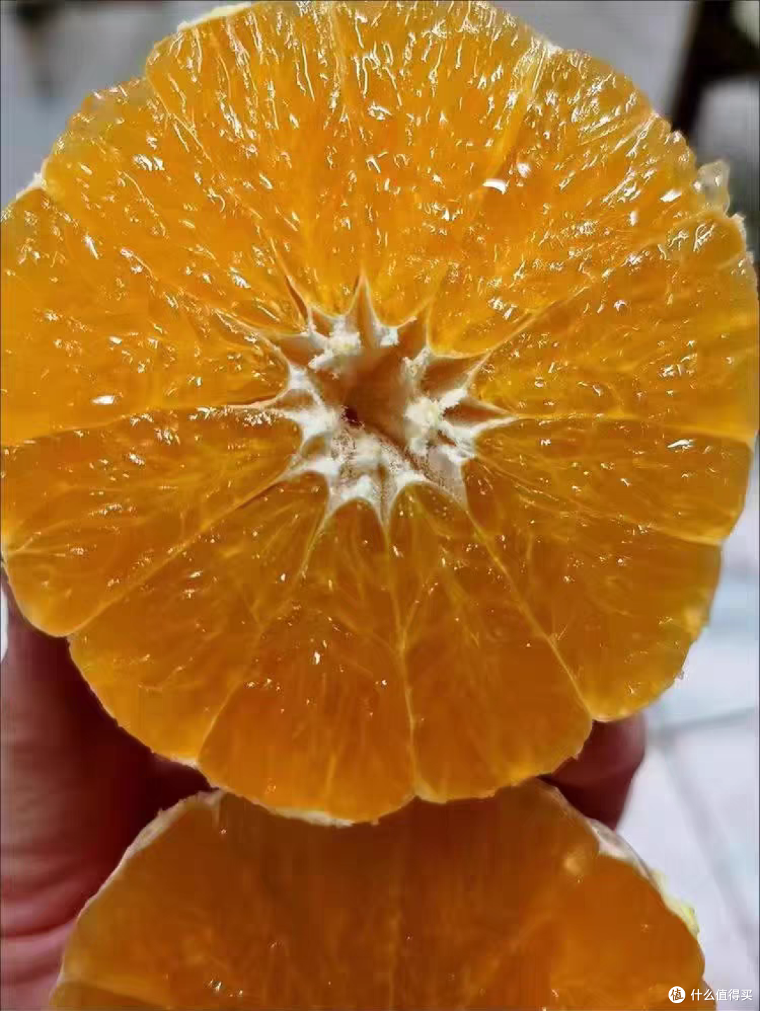 冬天吃脐橙的季节啦，哪里脐橙最好吃啊