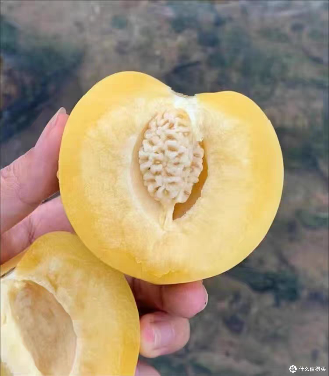 汁水充盈