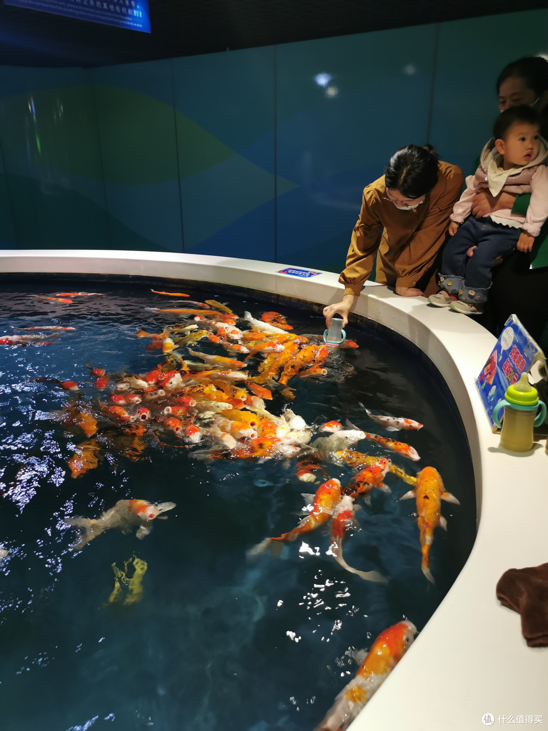 奶瓶喂鱼