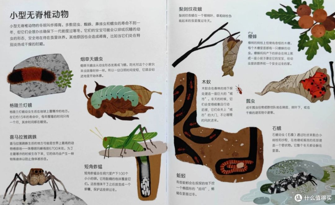 《睡着的冬天》