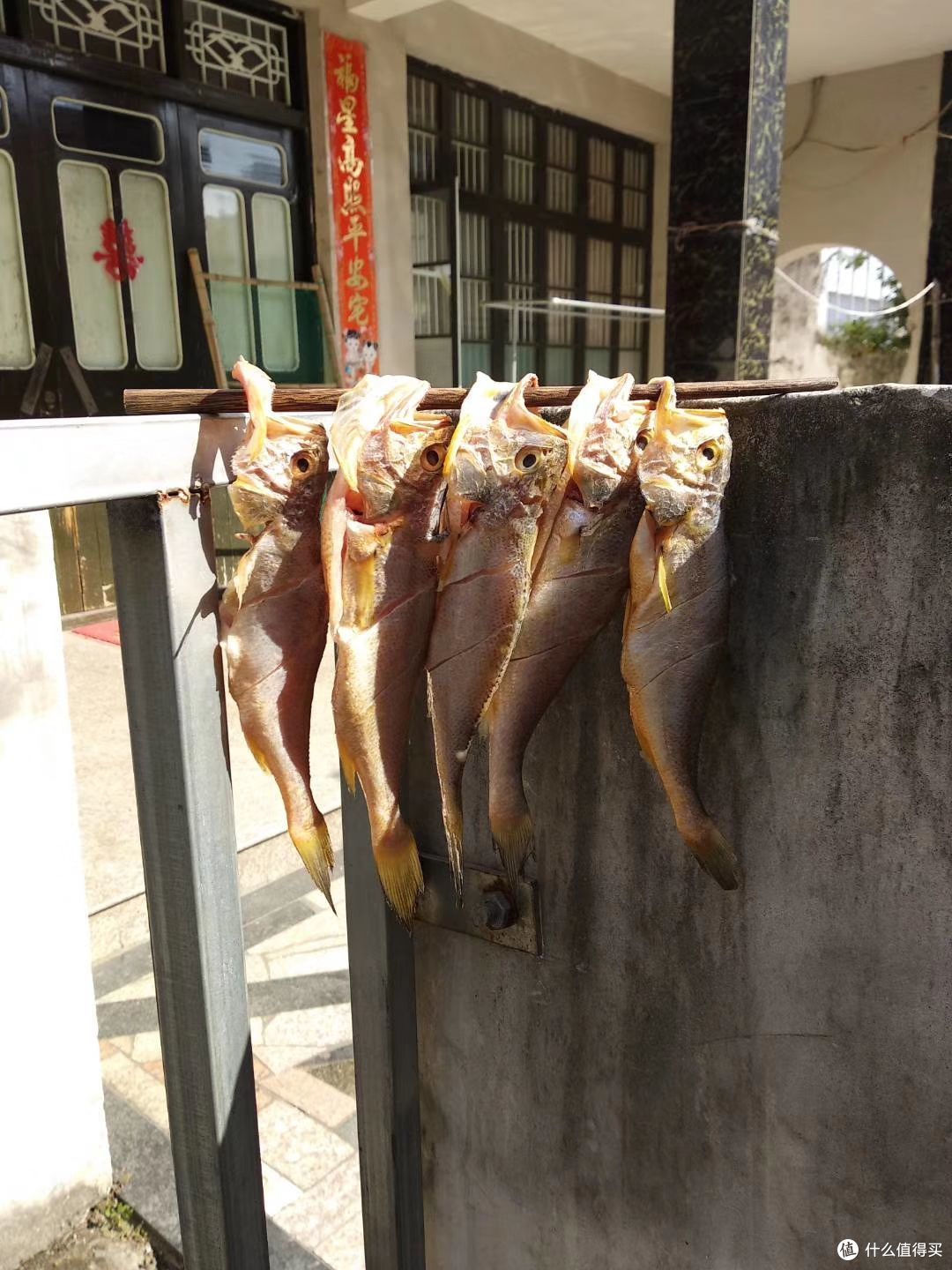 陪娃记录冬天的方式有哪些?教你5个小妙招,沉浸式体验冬天