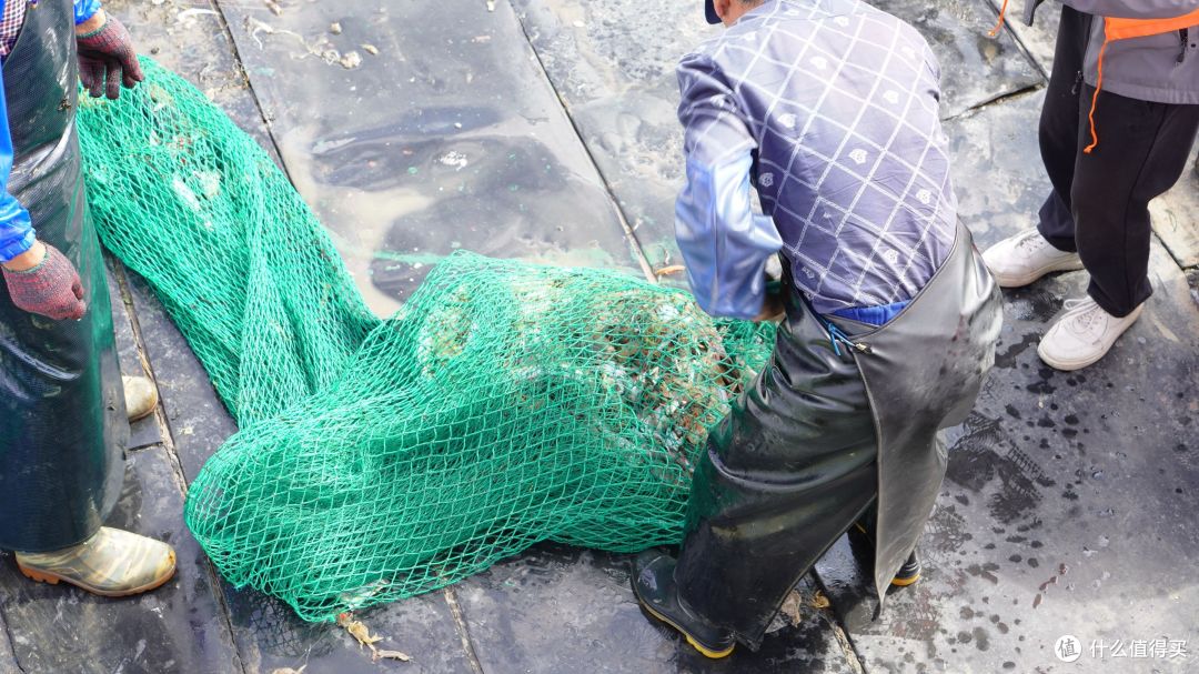 人均200+ 出海兜风还带一顿海鲜大餐