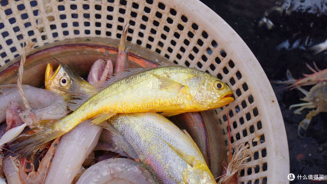 人均200+ 出海兜风还带一顿海鲜大餐