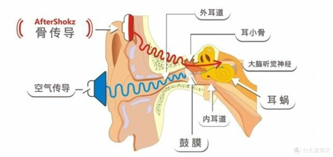 不入耳,可游泳,火遍运动圈的骨传导耳机南卡runner pro3实测给你看!