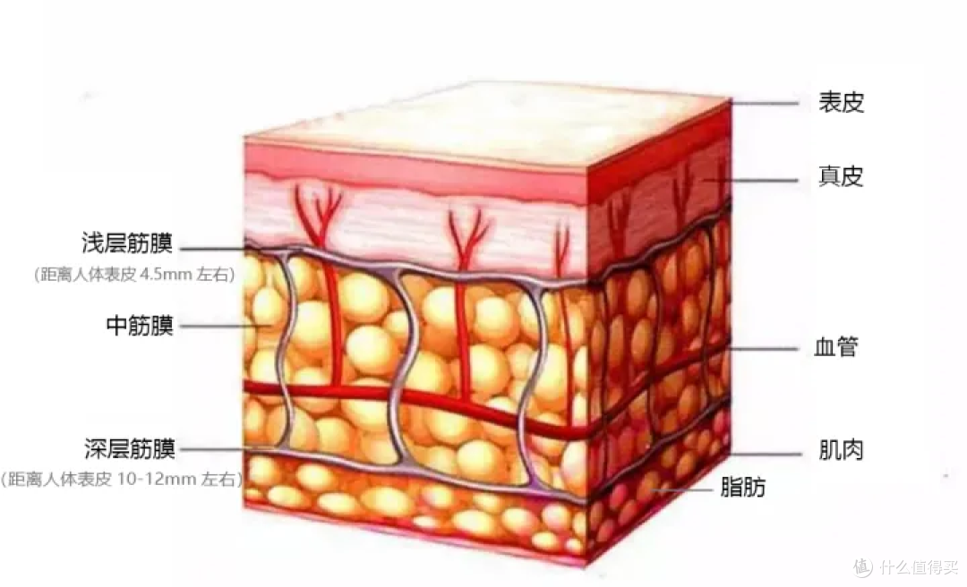 云麦筋膜枪PB2值得买吗?|筋膜枪怎么买?这篇选购指南买前必看!