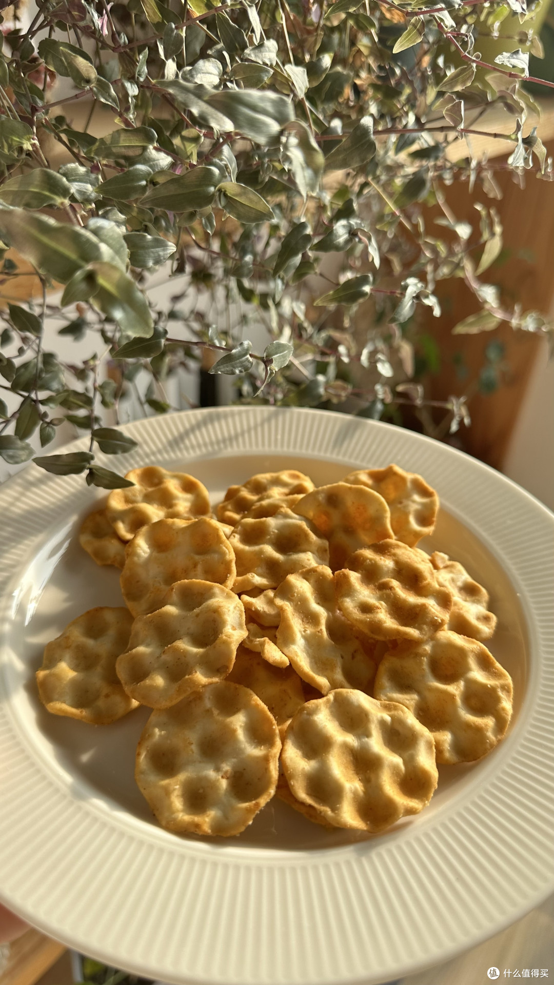 不允许你们没吃过这个小石子饼