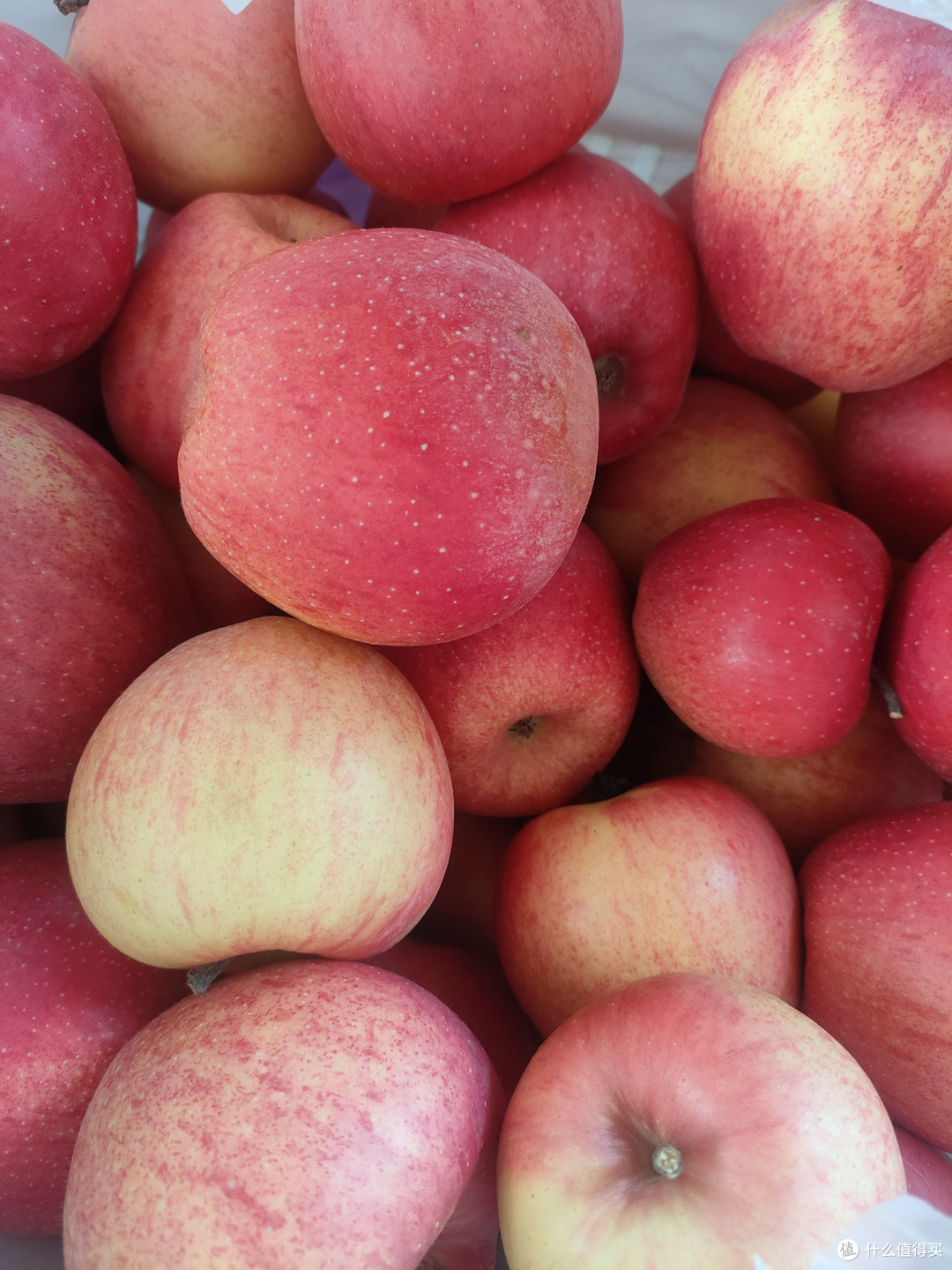 又大又甜的嘎嘣脆苹果🍎