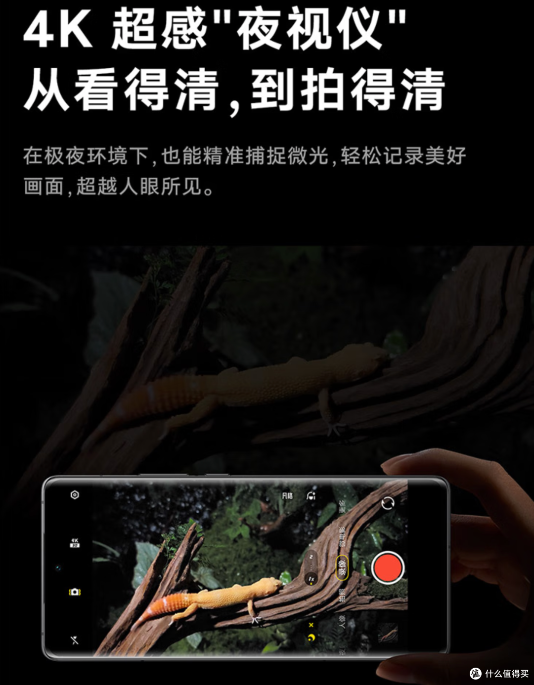 「众聊」拍照,你用手机还是相机?