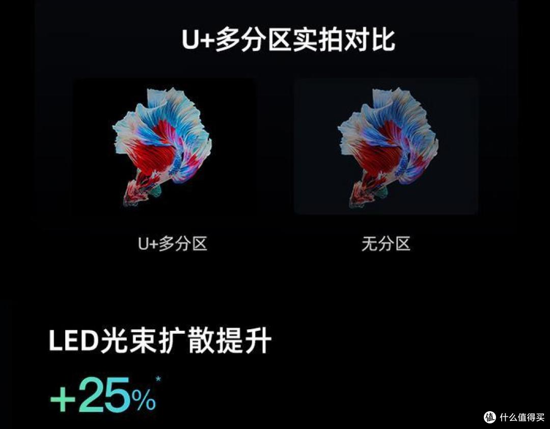 看世界杯还得是大屏幕，没有啤酒照样HIGH