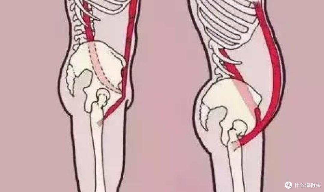 【人体工学椅测评】工学椅是炒作还是真的好用?人体工学椅是智商税吗?2022年618人体工学椅选购及推荐