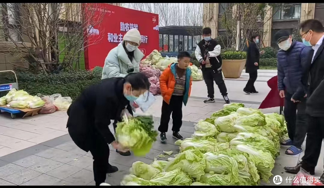 寻找儿时的味道-酸辣大白菜