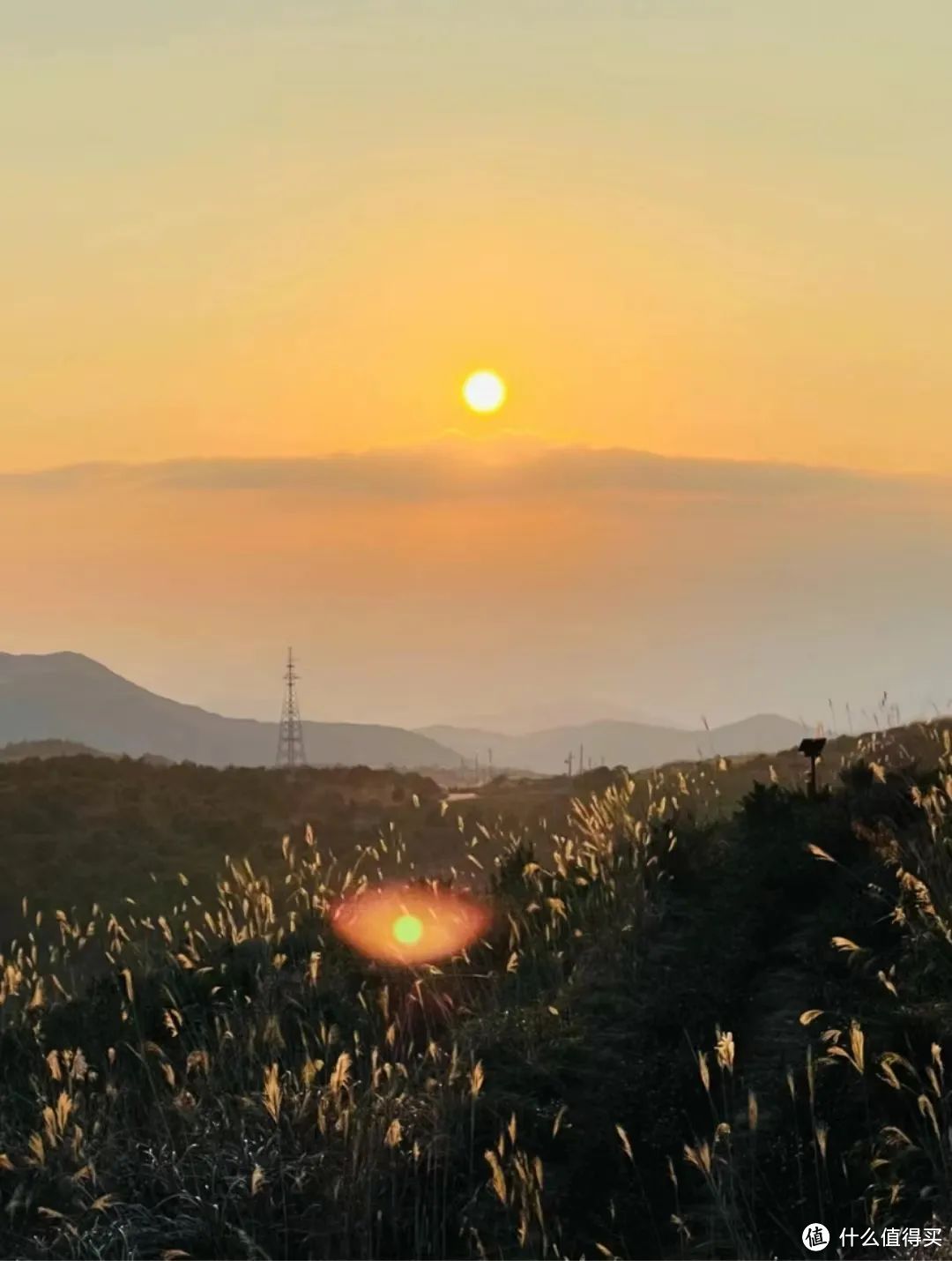 苍南，隐匿于浙南山海之间的宝藏小城