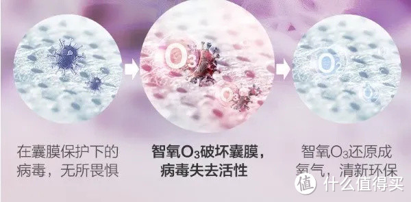 2022年洗衣机选购指南—海尔|小天鹅|美的|松下|西门子