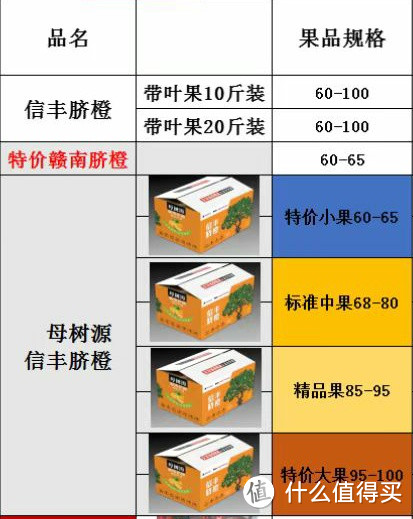 常见脐橙规格分类