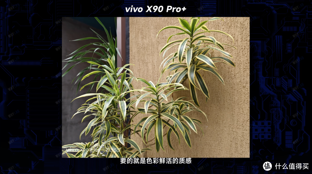 vivo X90 Pro+ 测评：骁龙 8 Gen 2、一英寸蔡司、三星 E6，vivo 为什么一上来就交卷超大杯？