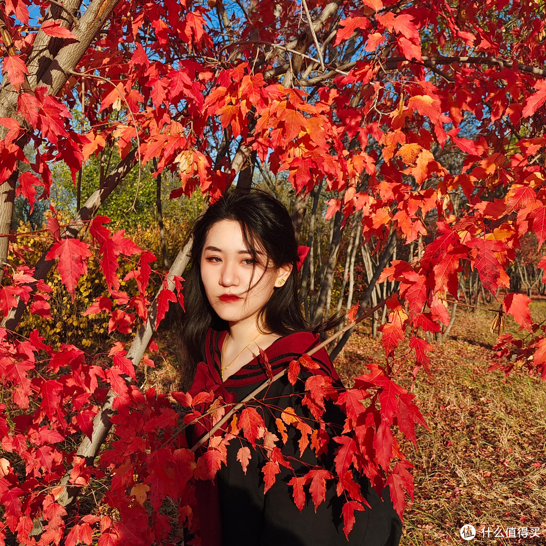 穿搭好物大聚会篇三十六只需要一个小窍门就可以拍出美丽的街边枫叶