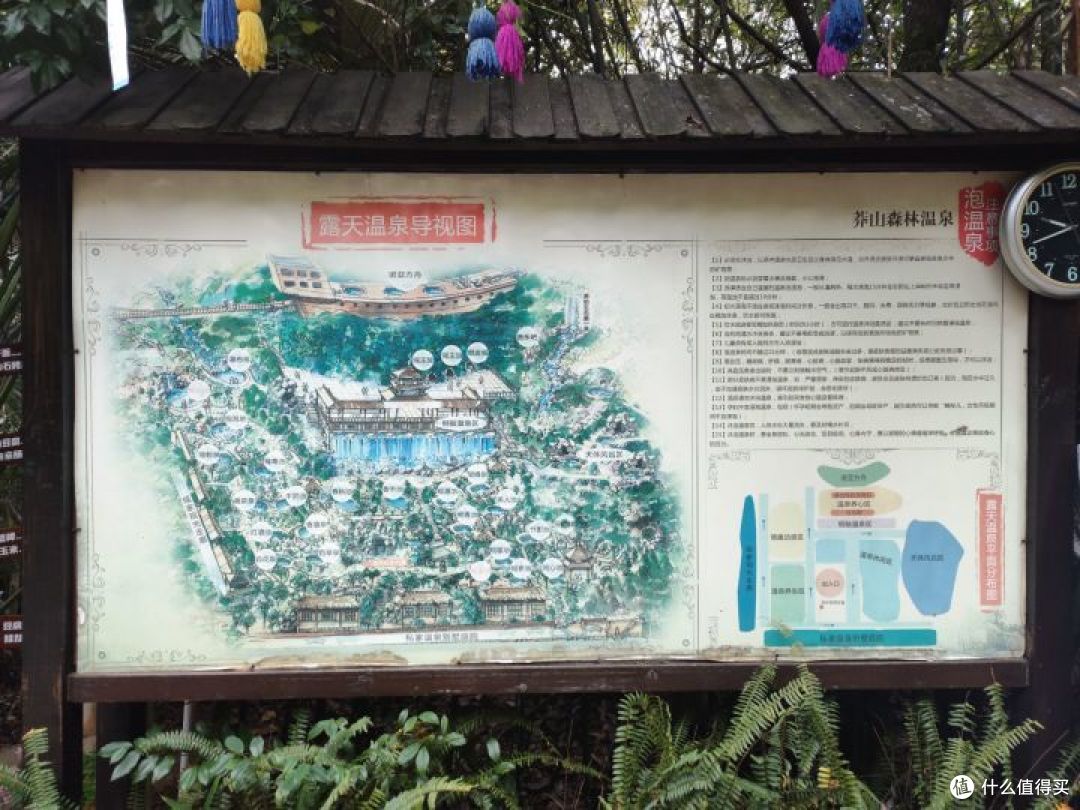 浅尝莽山森林温泉酒店