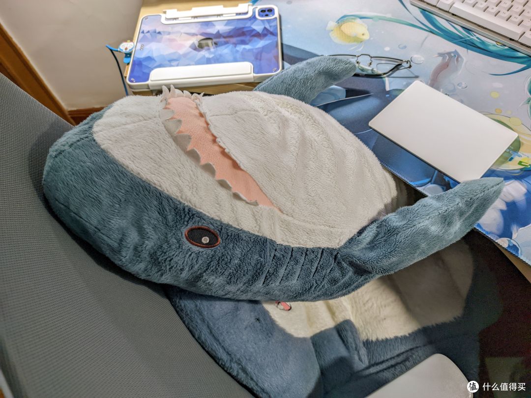 摸鱼的大哈鱼🐋