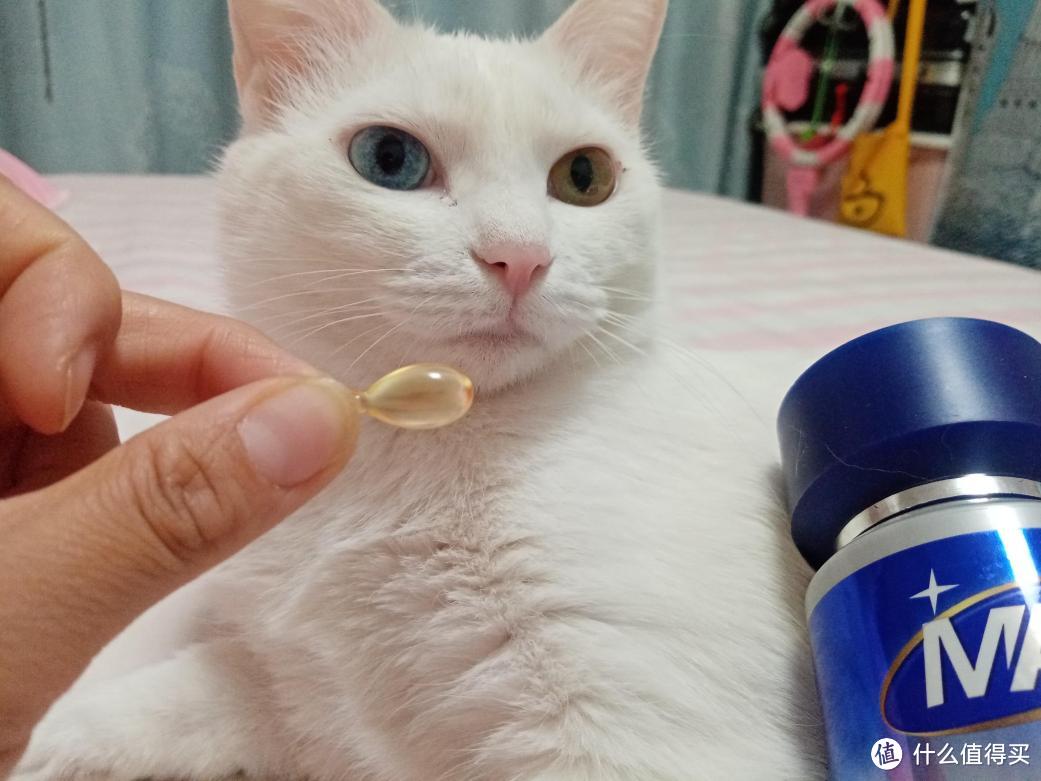 猫狗需要吃鱼油吗？有什么鱼油牌子推荐吗？