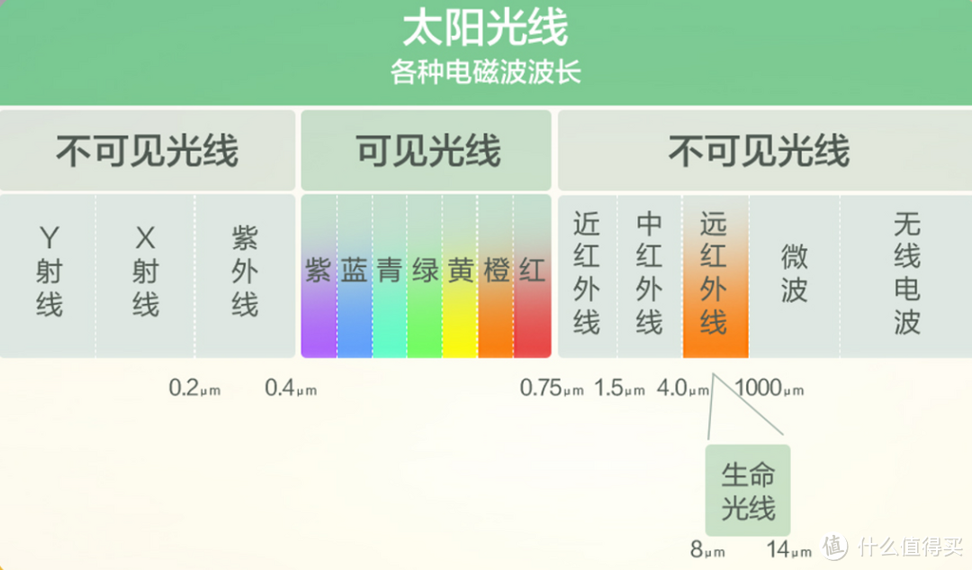 2022年家用电饭煲推荐！苏泊尔远红外电饭煲实用体验！