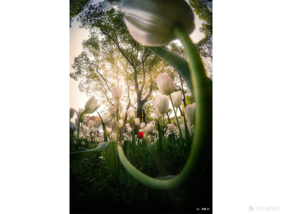 铭匠正式发布11mm F2.8 单反镜头