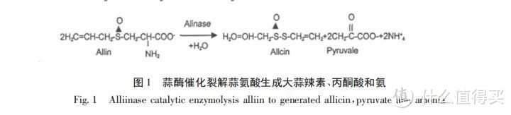 蒜素的生成