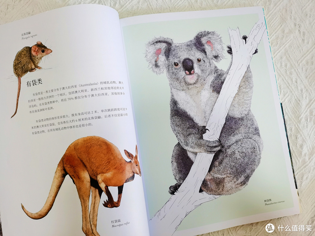 一本充满温情的动物科普书，为孩子揭秘动物们不为人知的秘密